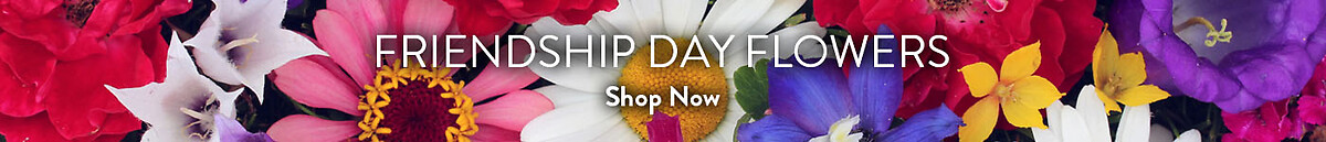 Friendship Day