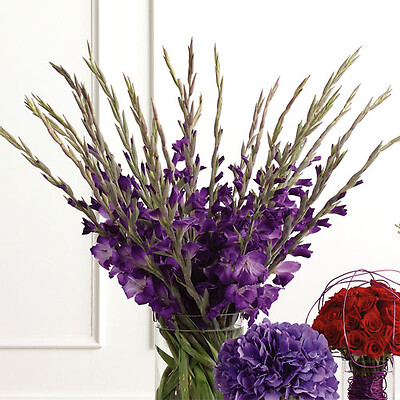 Gladiolus Altar Arrangement